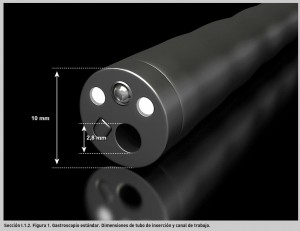 FIGURA 1. Gastroscopio estándar. Dimensiones de tubo de inserción y canal de trabajo.