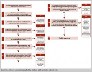 FIGURA 4. Algoritmo para facilitar al clínico la diferenciación entre CU y EC.