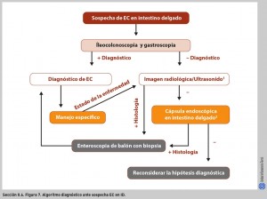FIGURA 7. Algoritmo diagnóstico ante sospecha EC en ID.