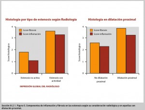 FIGURA 5. Componentes de inflamación y fibrosis en las estenosis según su consideración radiológica y en aquellas con dilatación proximal.