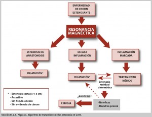 FIGURA 6. Algoritmo de tratamiento de las estenosis en la EII.